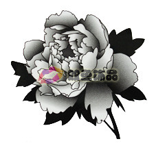 Tattoo Sticker Black Rose (Sold in per package of 80pcs)