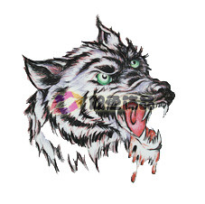 Tattoo Sticker Wolf (Sold in per package of 80pcs)