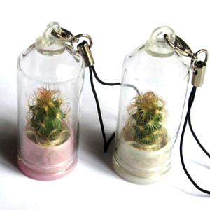 Glass Bell Mini Pet Plant Cellphone Charms(1.8x4CM,assorted)