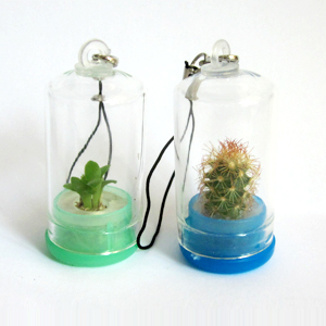 Glass Bell Mini Pet Plant Cellphone Charms(2.5x4CM,assorted)