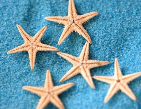 1-2cm Nature Starfish Beads (Sold in per package of 20pcs)