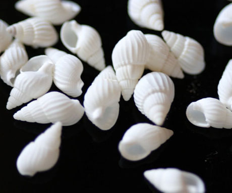 1.5-2.5CM White Nature Conch Shell Beads(Sold with package of 30pcs)