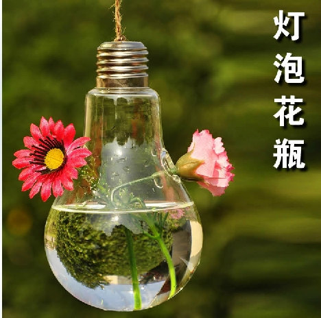 Bulb Suspension vase