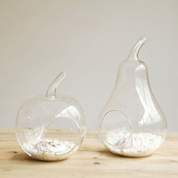Glass Apple Or Pear succulents vases