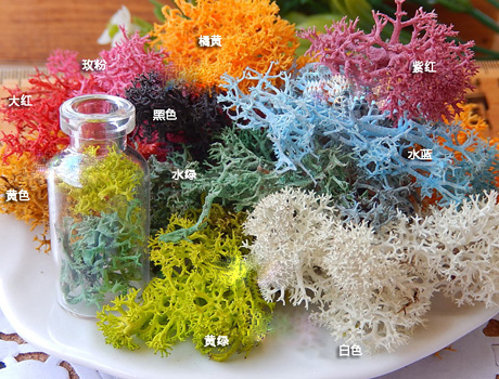 Dried Moss and Lichen For Glass Globe Bottles(Sold Package of 1g)