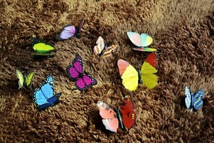 Acrylic Butterfly (Assorted Sizes And Colors)
