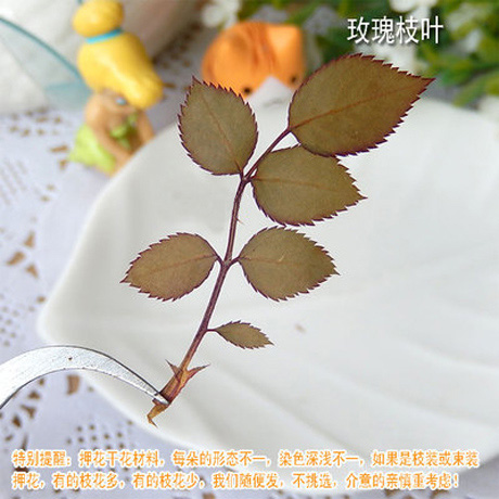 Real Rose Leaves Pressed Flowers(Sold in per package of 20pcs)