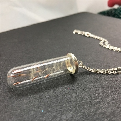 40x10/40x12/50x18MM Glass tube Dandelion Real Seed Necklace