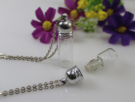 Glass Vials(3 Sizes)with Necklace Chain