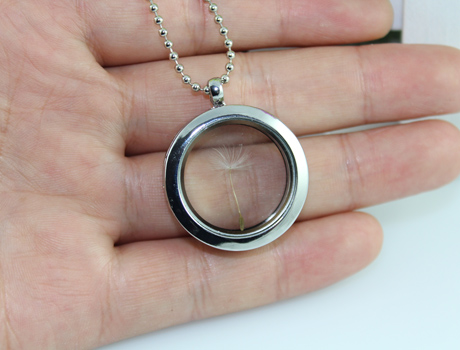 30MM Window Locket Necklace with real dried DANDELION SEEDS