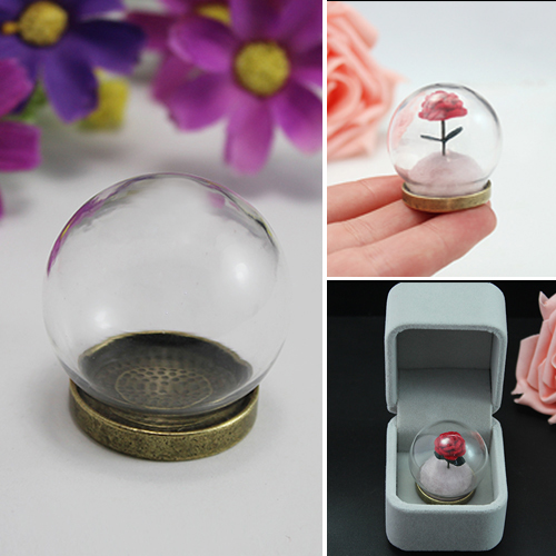 Little Prince Rose Glass Terrarium Globe